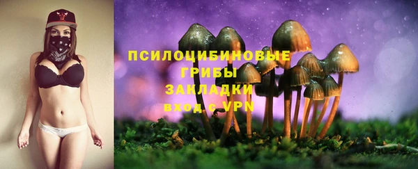 прущая мука Михайлов
