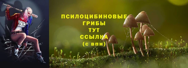 каннабис Михайловка
