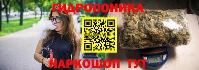гидра Новодвинск