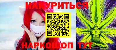 гидра Новозыбков