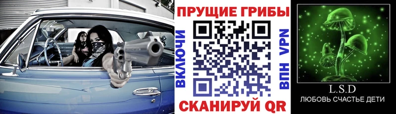 дарнет шоп  Нефтеюганск  Псилоцибиновые грибы мицелий 
