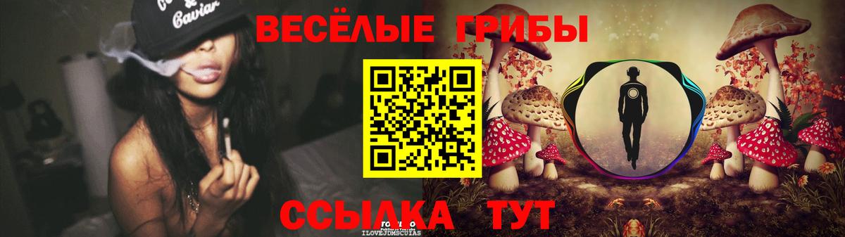 Галлюциногенные грибы GOLDEN TEACHER  цены   Нефтеюганск  Вход с VPN 